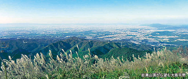イメージ画像