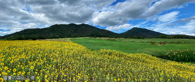 イメージ画像