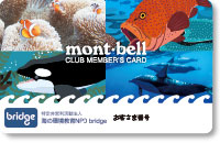 海の環境教育NPO　bridge