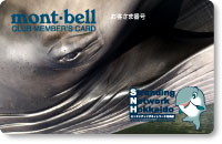 ストランディングネットワーク北海道