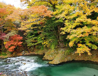 紅葉した木々透き通った川