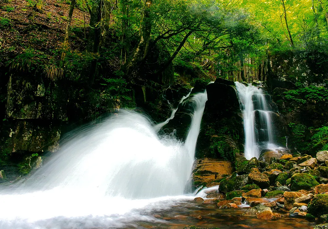 兵庫県宍粟市千種町の緑豊かな渓谷を流れる三室の滝。勢いよく水が流れ落ち、滝壺から水しぶきが上がっている。