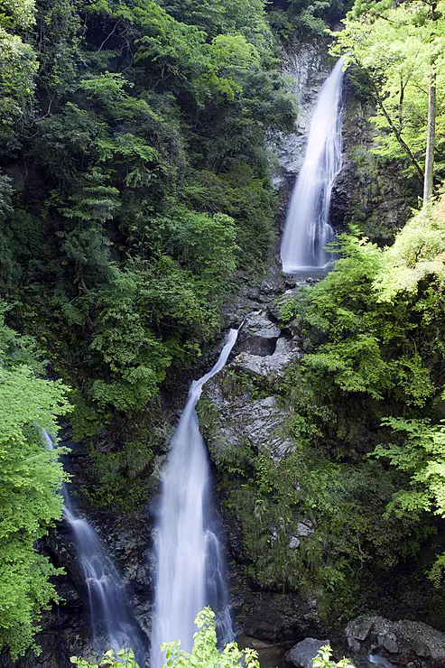 岩肌を流れ落ちる、周囲を緑豊かな木々に囲まれた大きな滝