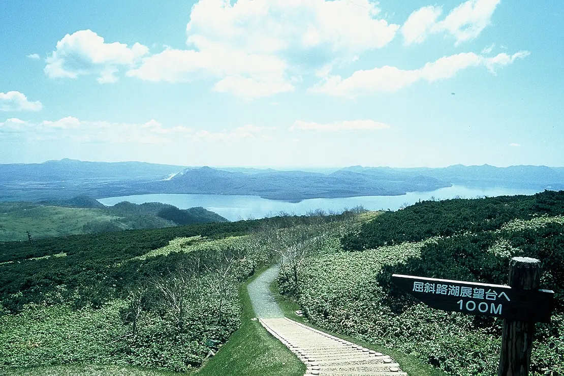 湖に続く緑のトレイル