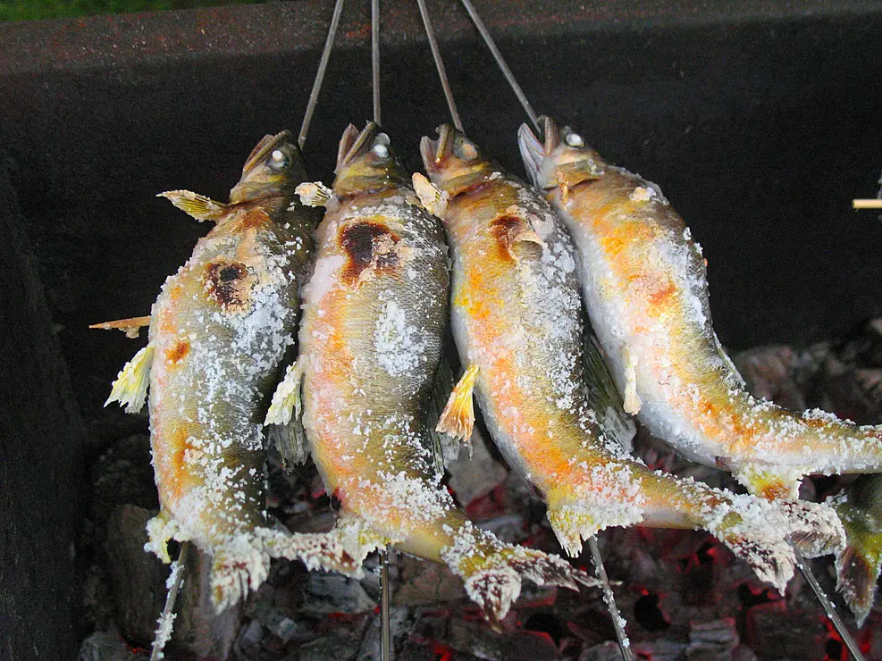 串刺しにされた鮎がこんがり焼かれている
