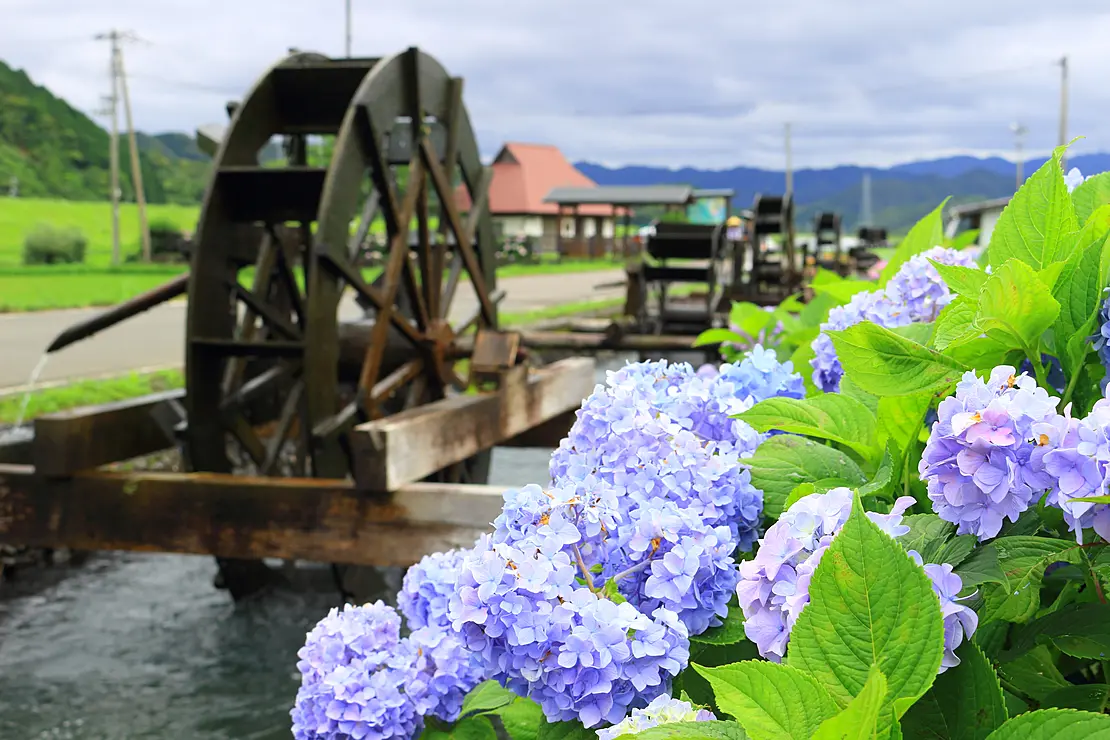 フレンドタウン 四万十市｜モンベル