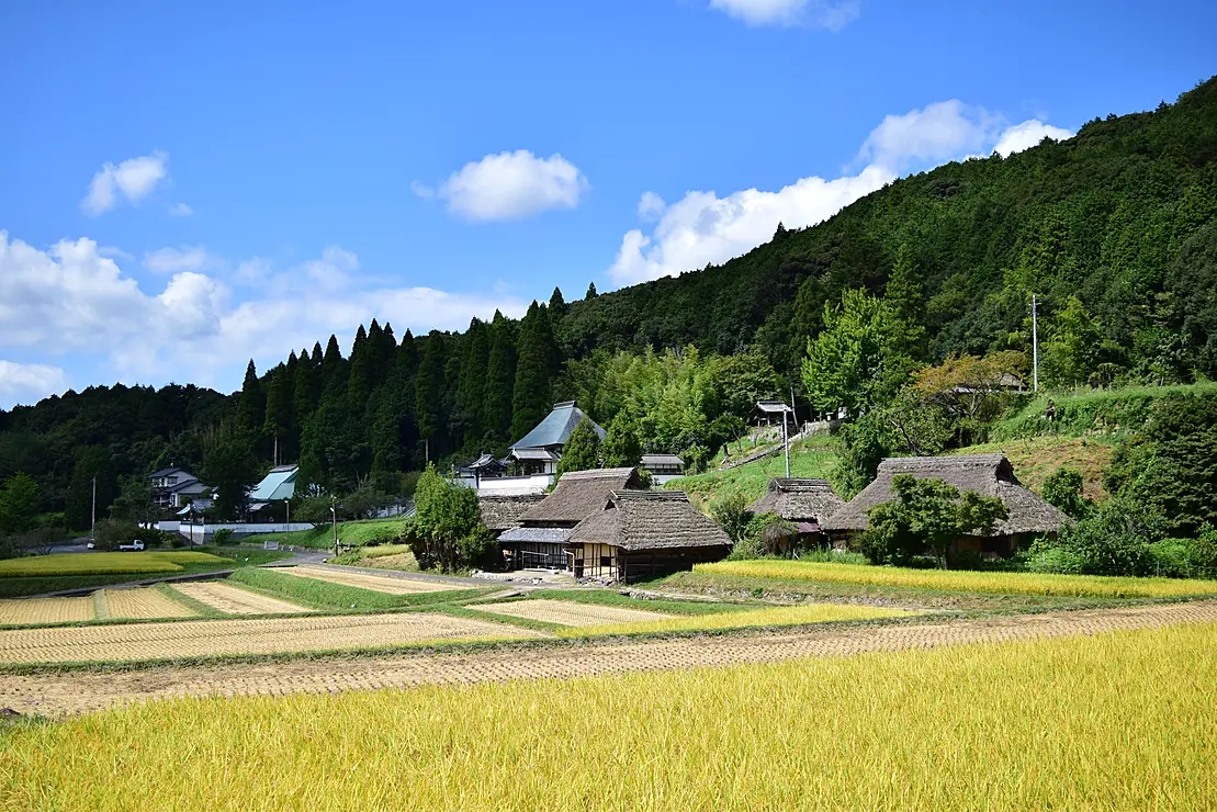 秋の里山の風景のなかに八塔寺ふるさと村がある