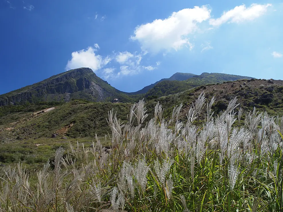 手前にはススキが広がり、奥には緑豊かな山々が連なり、青空とのコントラストが美しい風景