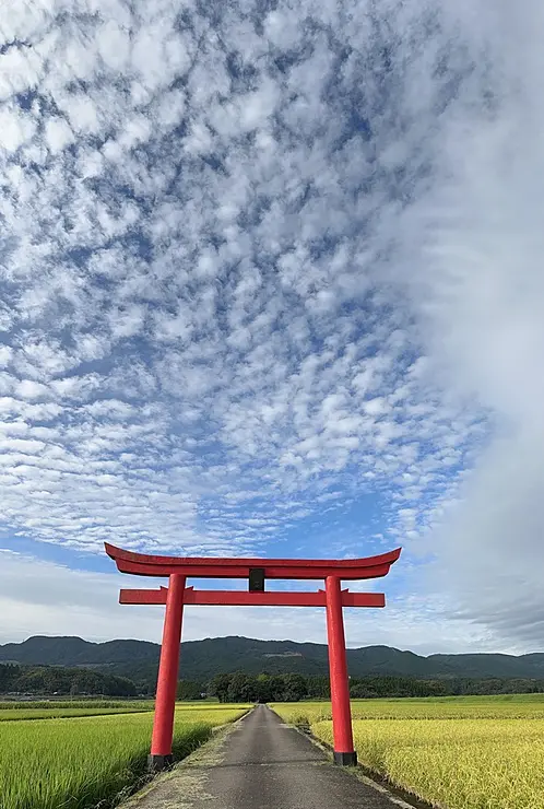 田んぼの中にたたずむ赤い鳥居。稲穂が色づく頃には空と鳥居と田のコントラストが絶景。
