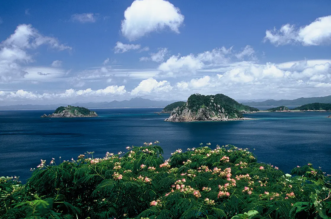 南さつまの代表的な八つの景観。