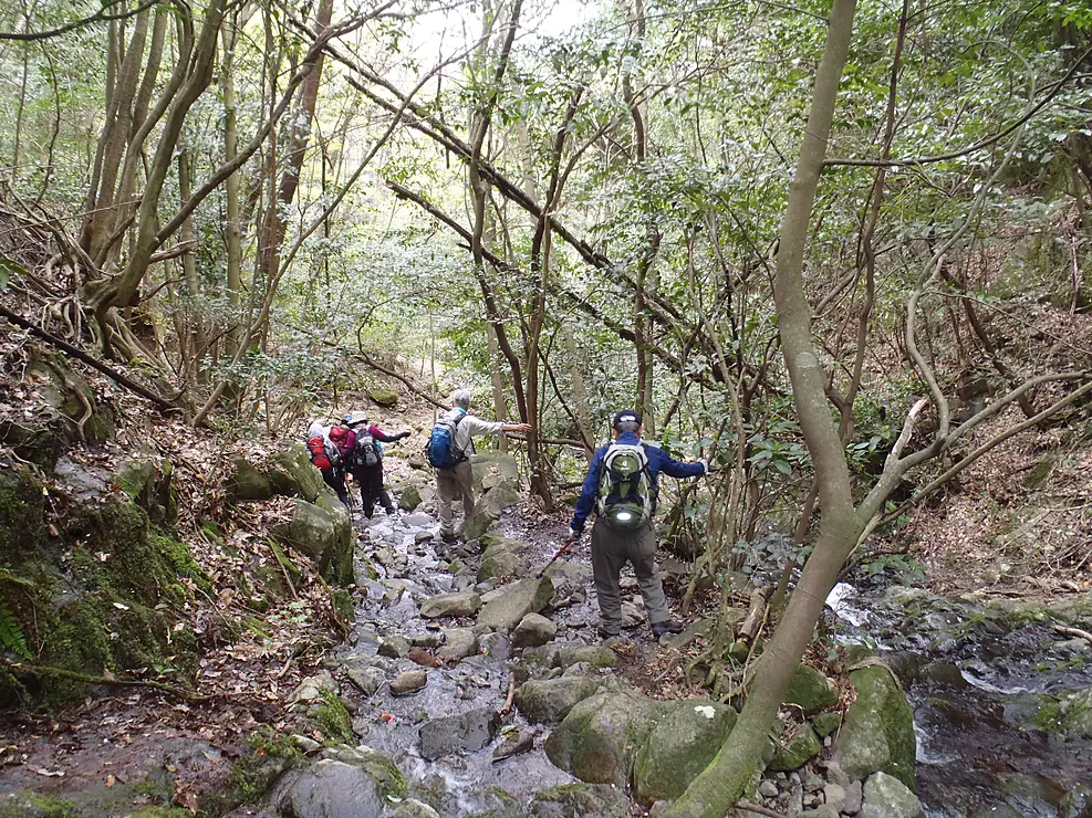 長崎県と佐賀県の県境に位置する多良山系は、標高700～1,000ｍ級の山々が連なり、トレッキング初心者から経験者まで幅広く親しまれるエリアです。シャクナゲやツツジをはじめとする1,000種類以上もの植物が自生し、咲き誇る花々、秋の紅葉、雪景色など、さまざまな表情が楽しめます。