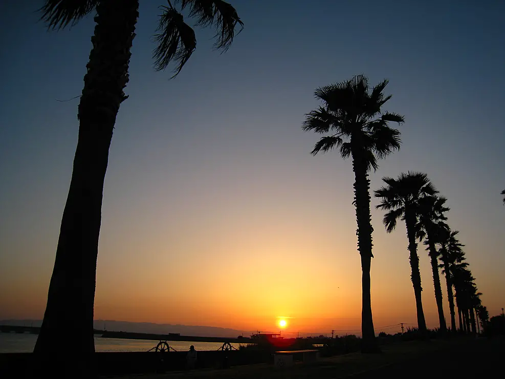 森園公園は、長崎県大村市にある、長崎空港や大村湾の夕日を眺められる広大な公園です。広さは約4.8ヘクタールあり、潮風を感じながら散歩やピクニックを楽しむ市民の憩いの場となっています。
