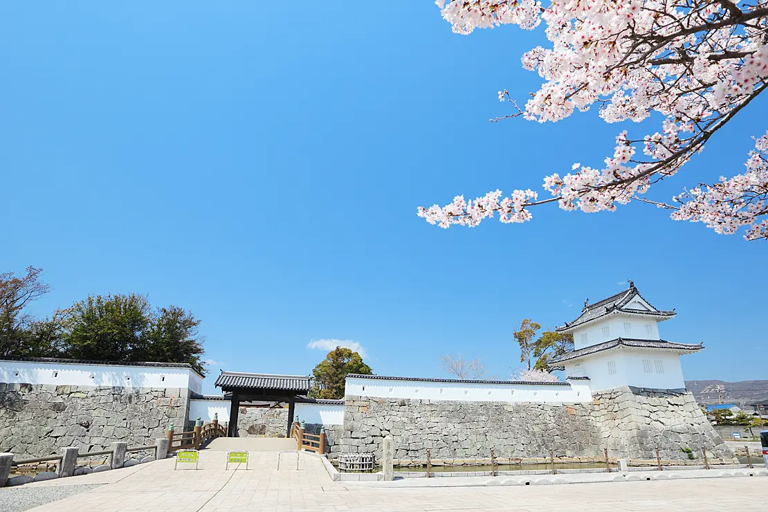 桜が咲き誇る春の赤穂城跡の大手隅櫓