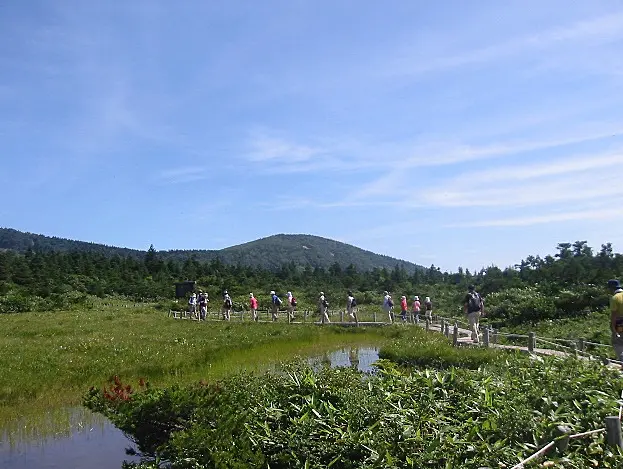 沼の間を縫うように続く木道