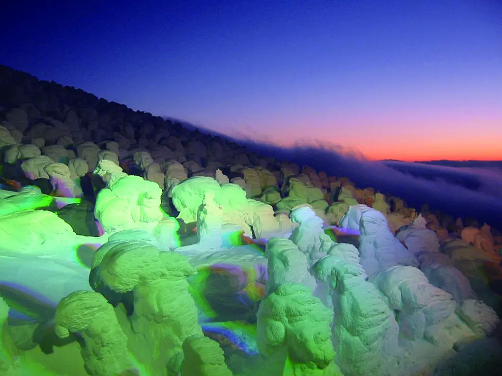 ライトアップされた樹氷