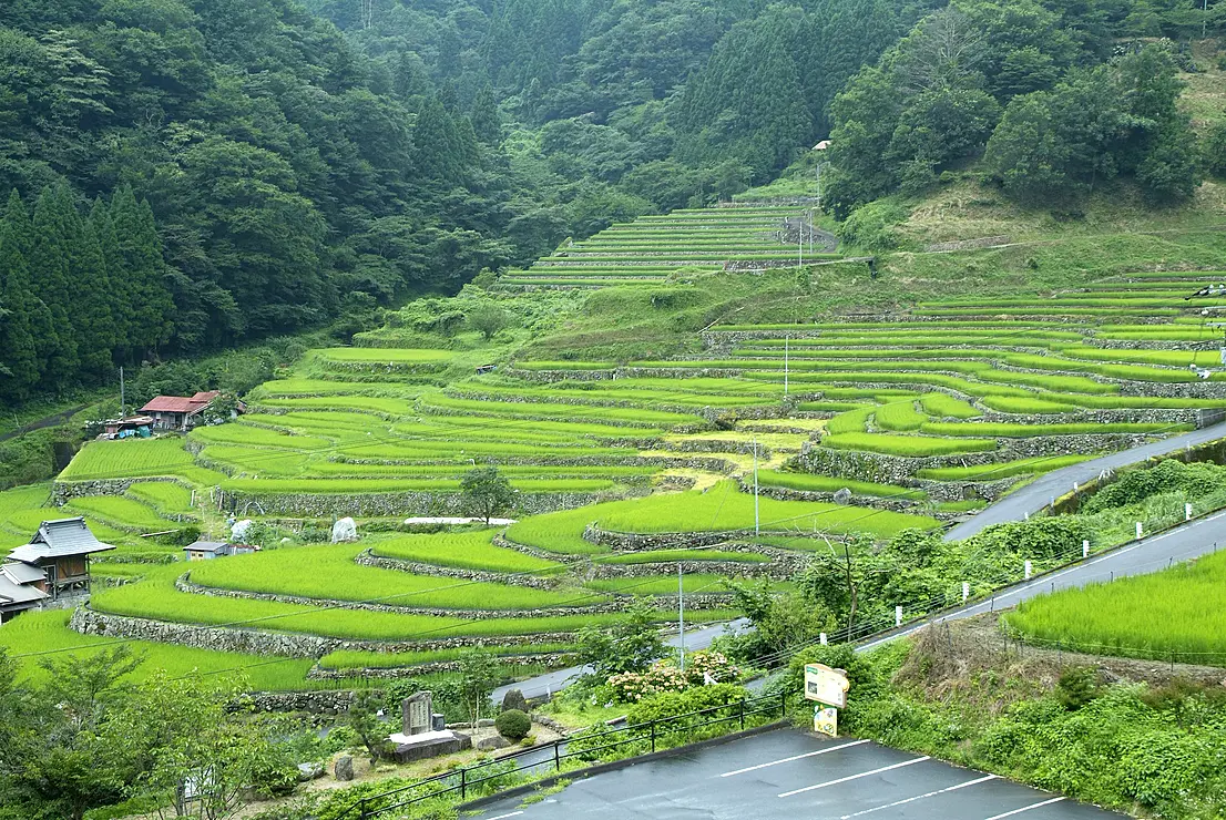 大井谷棚田
