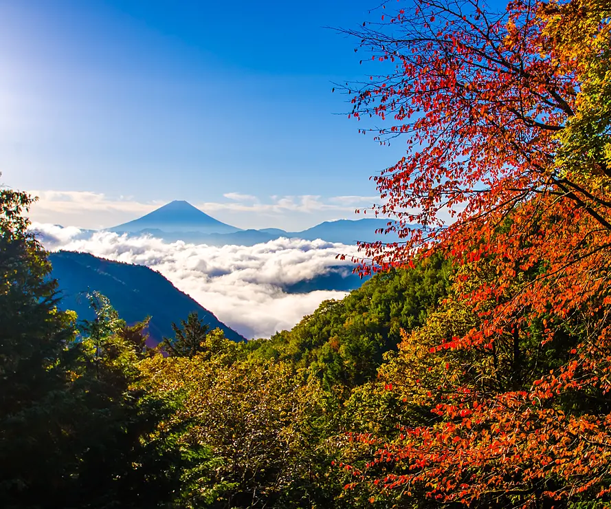 紅葉と遠くに望む富士山