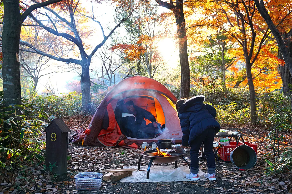 公園内でキャンプを楽しむ様子