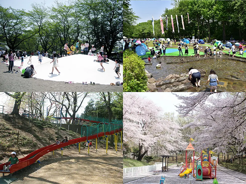 公園内の遊具の様子