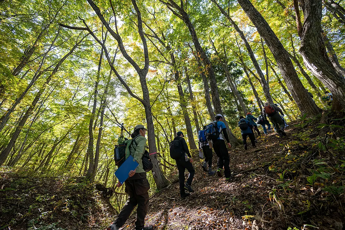 新緑の中をトレッキング