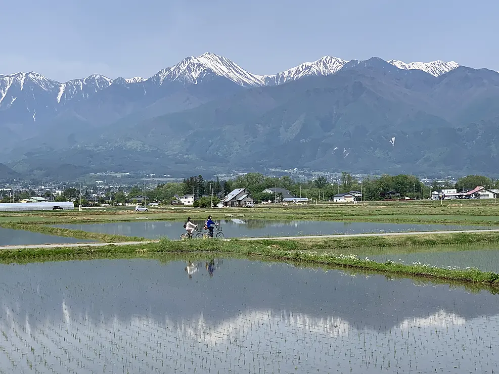 田んぼの中を走るサイクリング