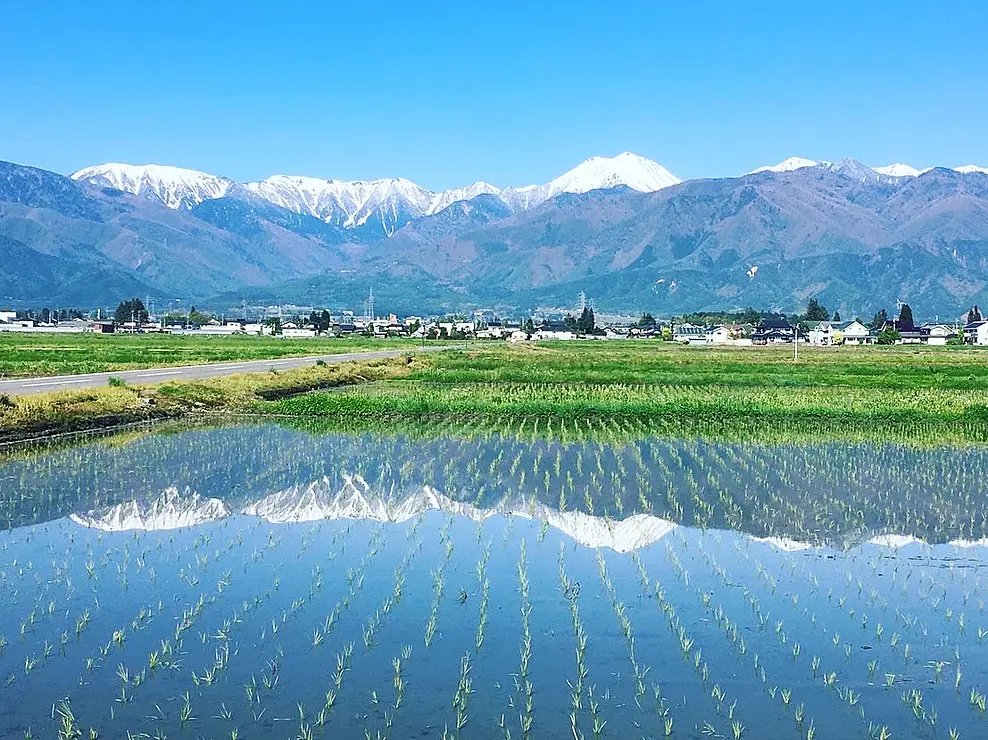 田んぼに映る北アルプス