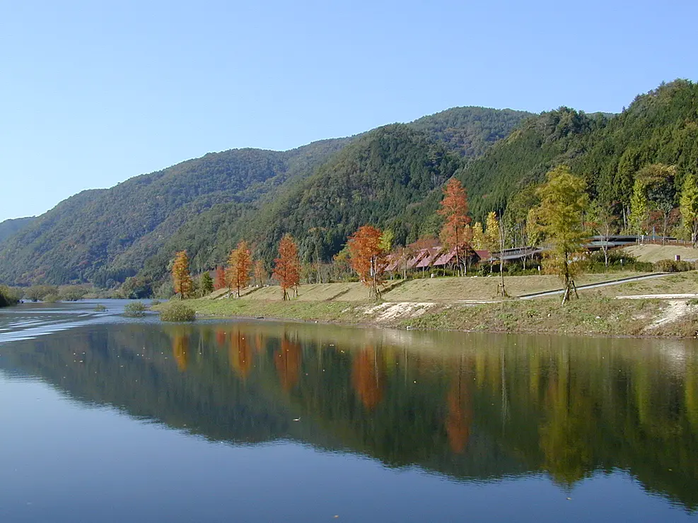 紅葉の木々が湖に写っている