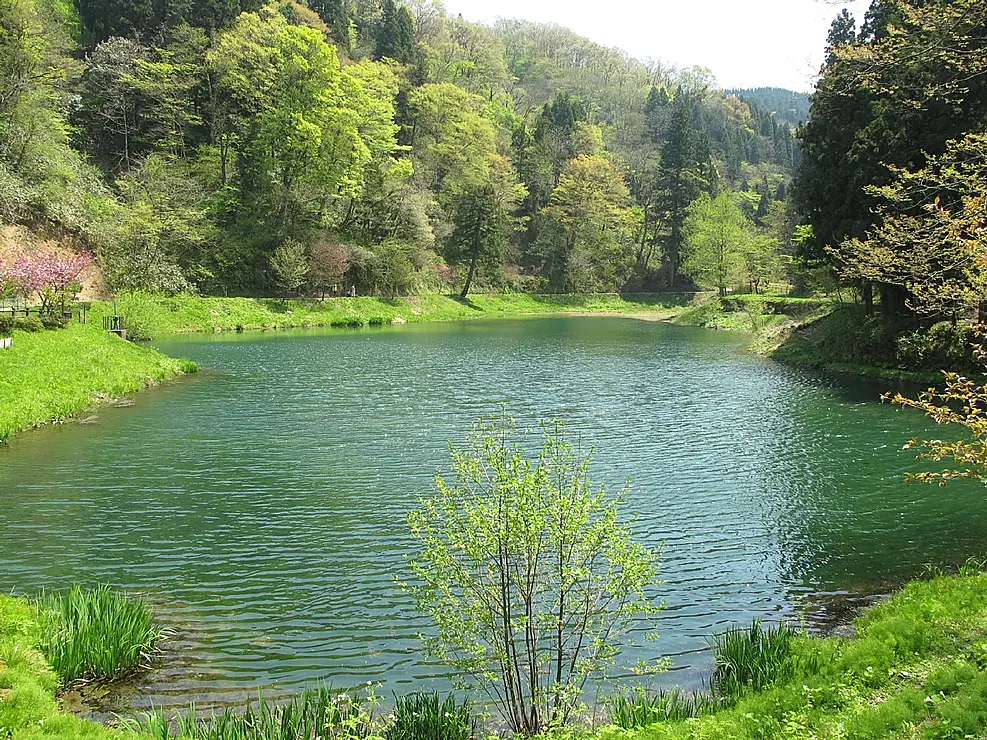 玉泉湖と周囲を取り囲む木々