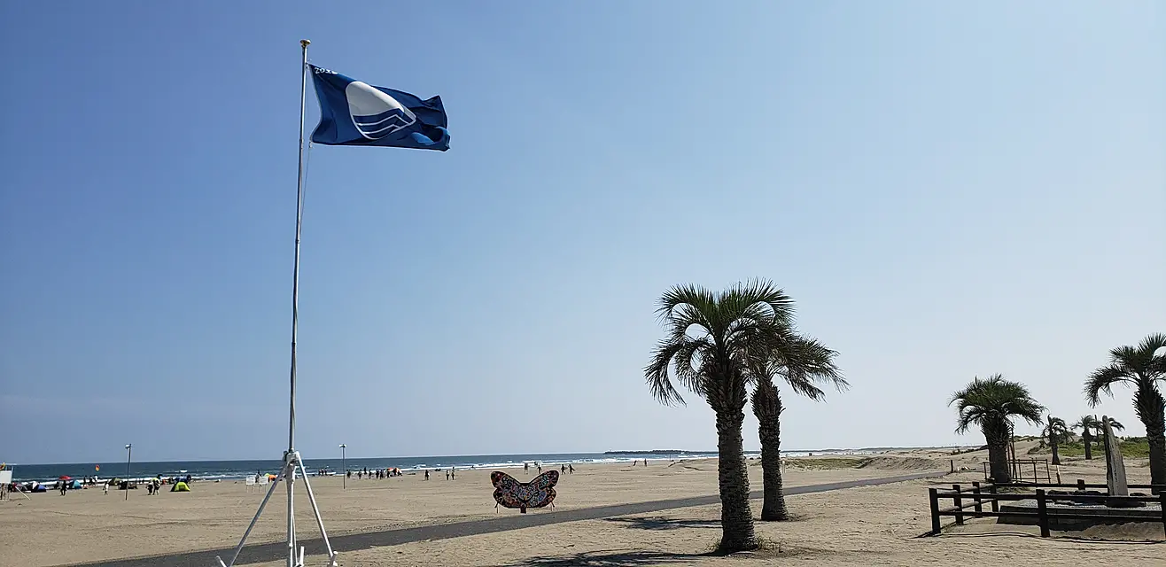 九十九里浜の様子