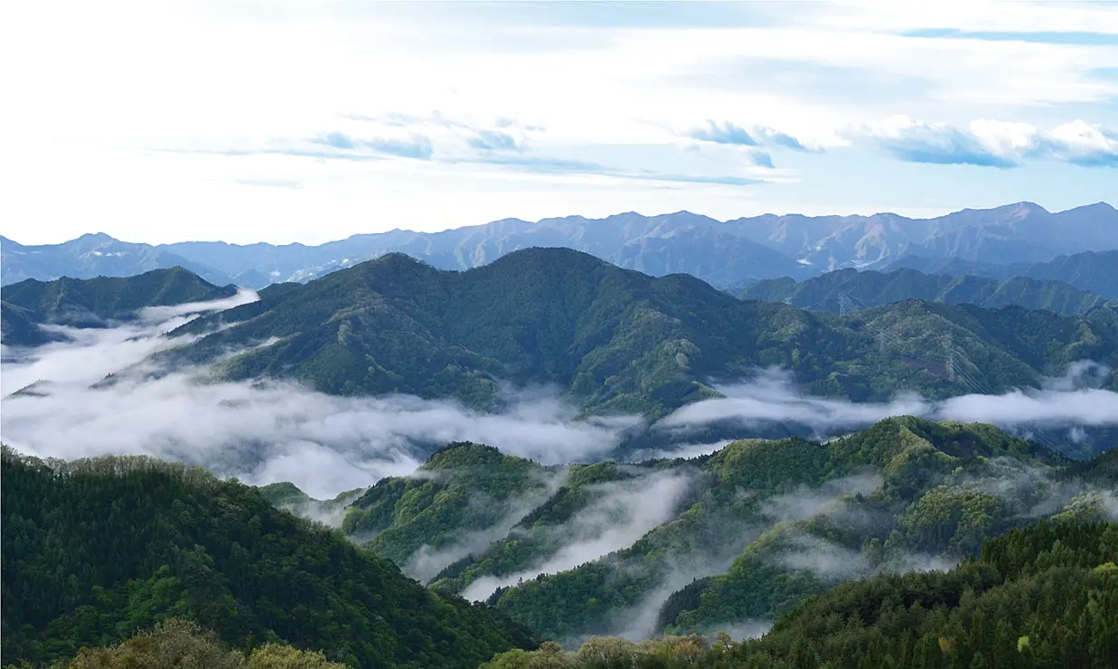 山々と雲海