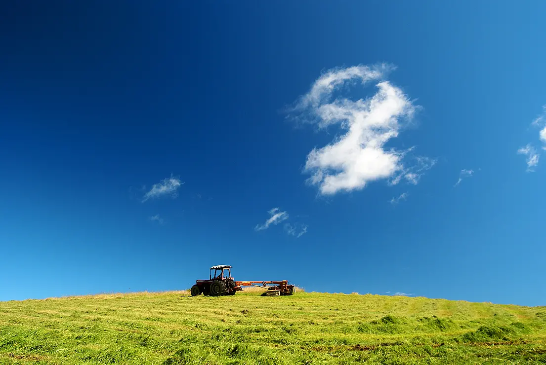広大な草原と青空