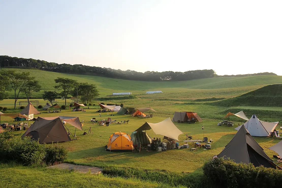 広大な草原の中でのキャンプ