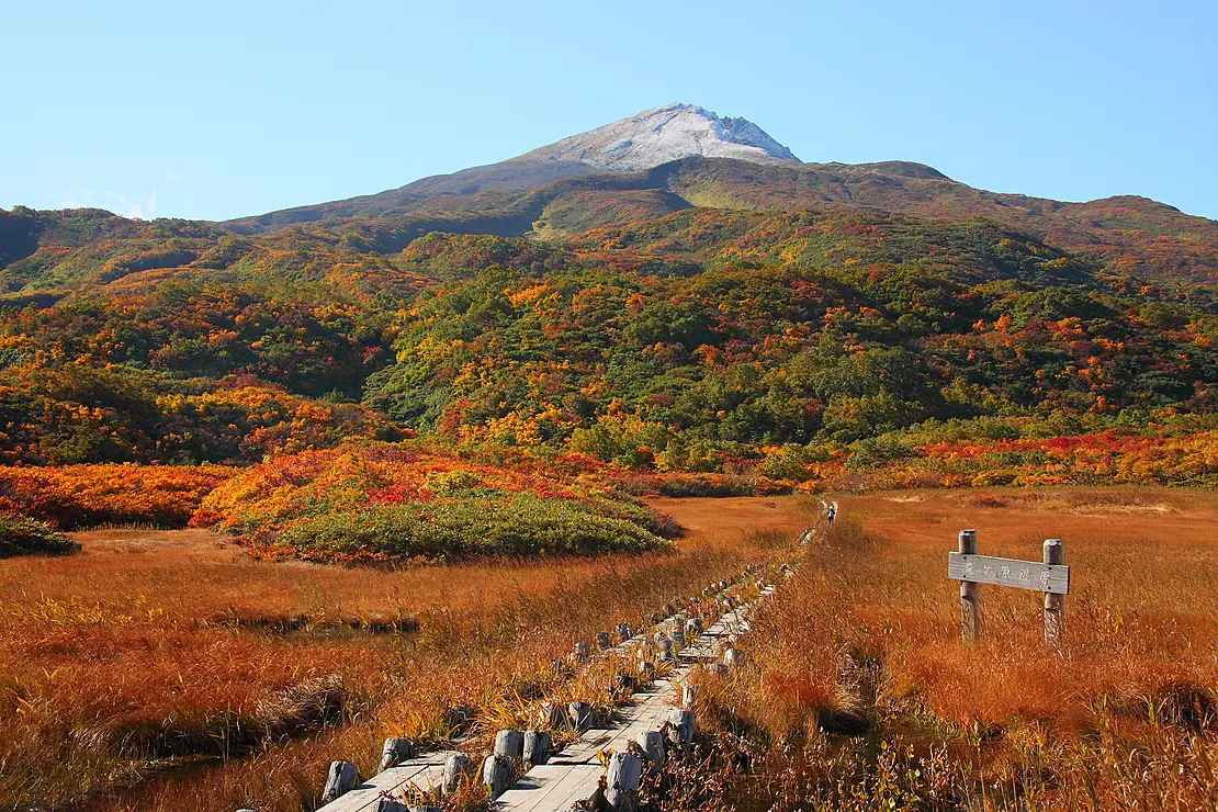 紅葉した湿原の向こうにそびえる山