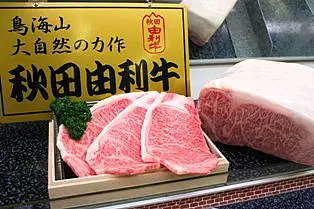 サシの入ったステーキ肉
