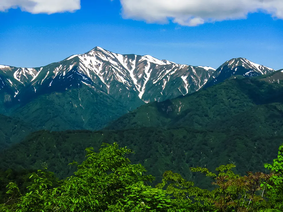 雪渓が残る大朝日岳