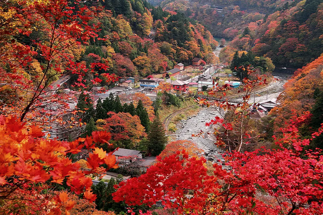 紅葉に染まる温泉街
