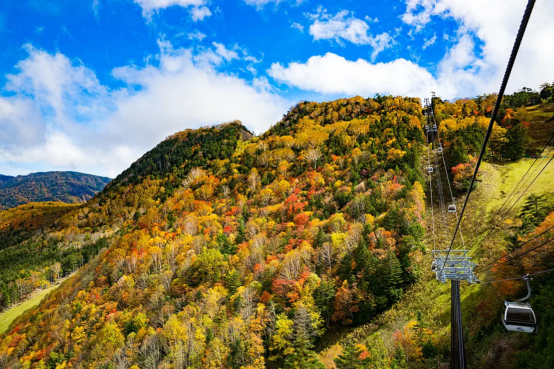 紅葉の山とロープウェイ