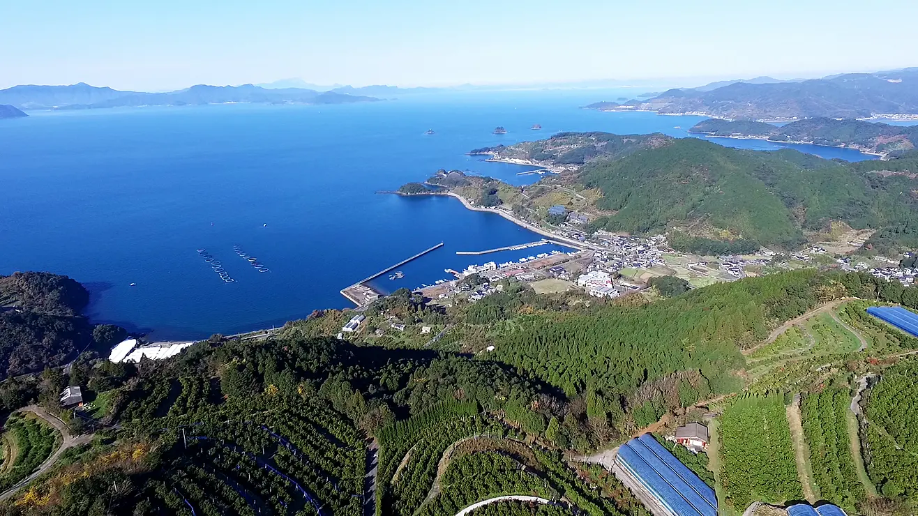不知火海へと続く、複雑な海岸線を持つリアス式海岸の風景
