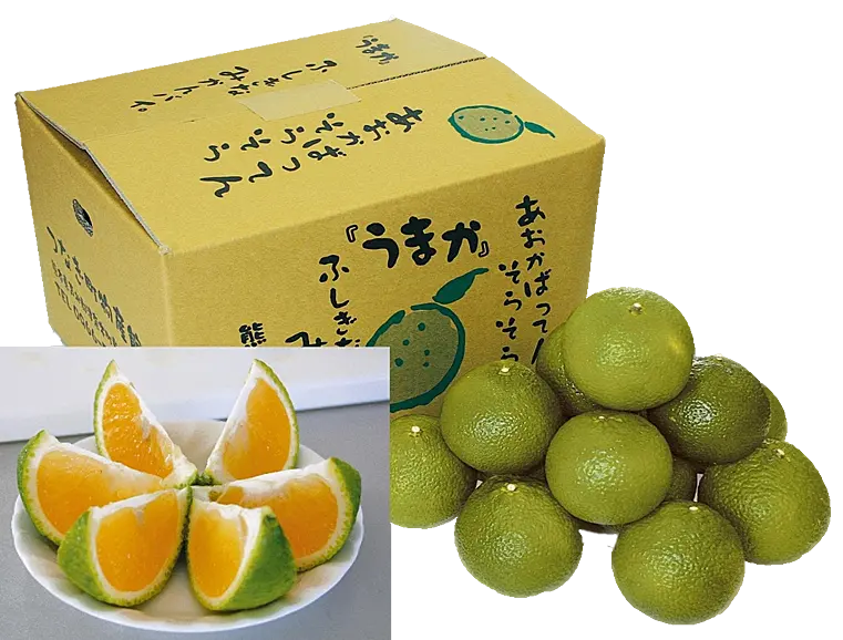 スイートスプリングという緑色の柑橘類の箱と実物の写真