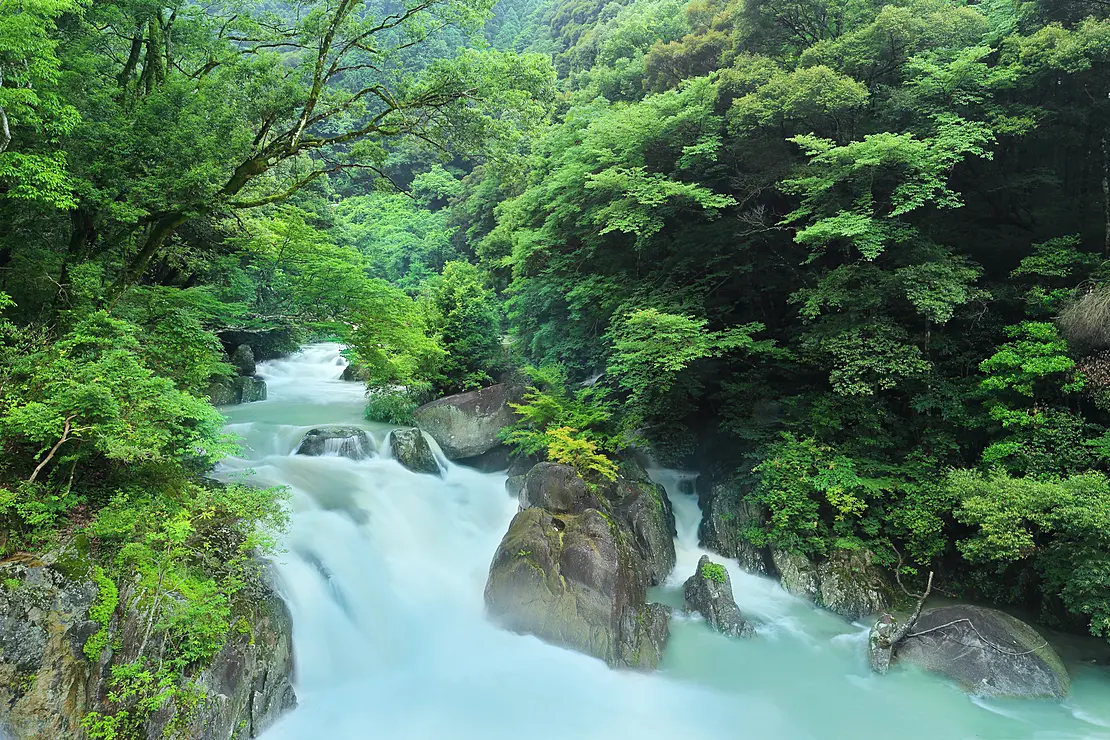 筑紫耶馬渓（ちくしやばけい）は、福岡県那珂川市の上流にある美しい渓谷で、福岡市内からアクセスしやすい紅葉の名所として知られています。