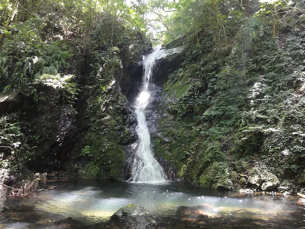 徳之島の原生林にあるマチャラの滝