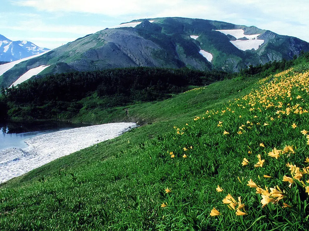 雪山を眺める男性