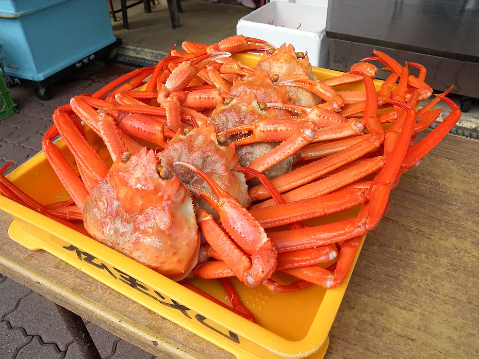 水揚げされたカニが並ぶ