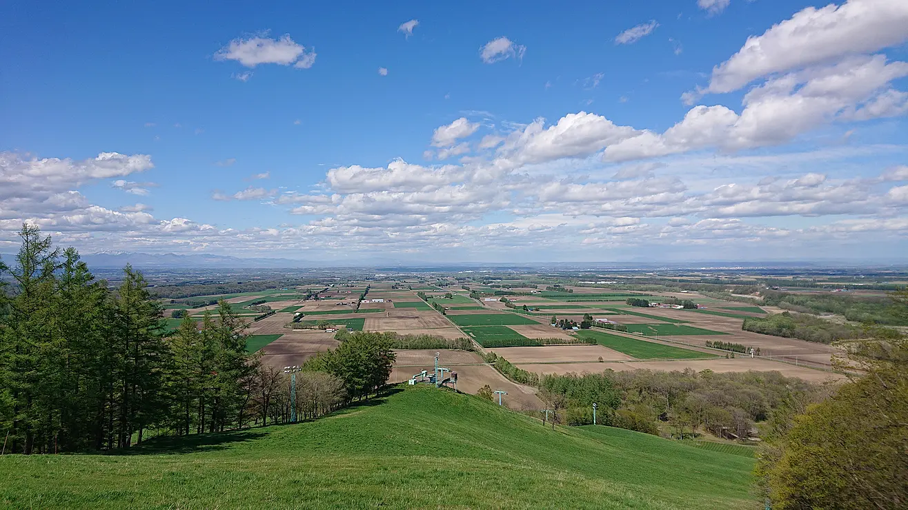 地平線までパッチワーク上の畑が続く展望台からの眺め
