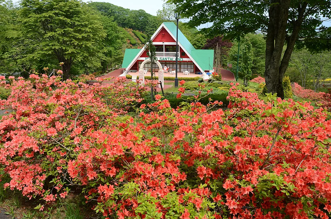 満開のつつじと緑色の屋根の建物