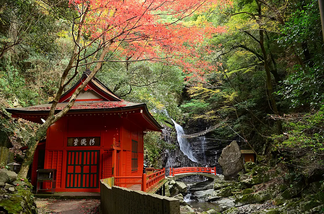自然豊かな犬鳴山の七宝寺本堂