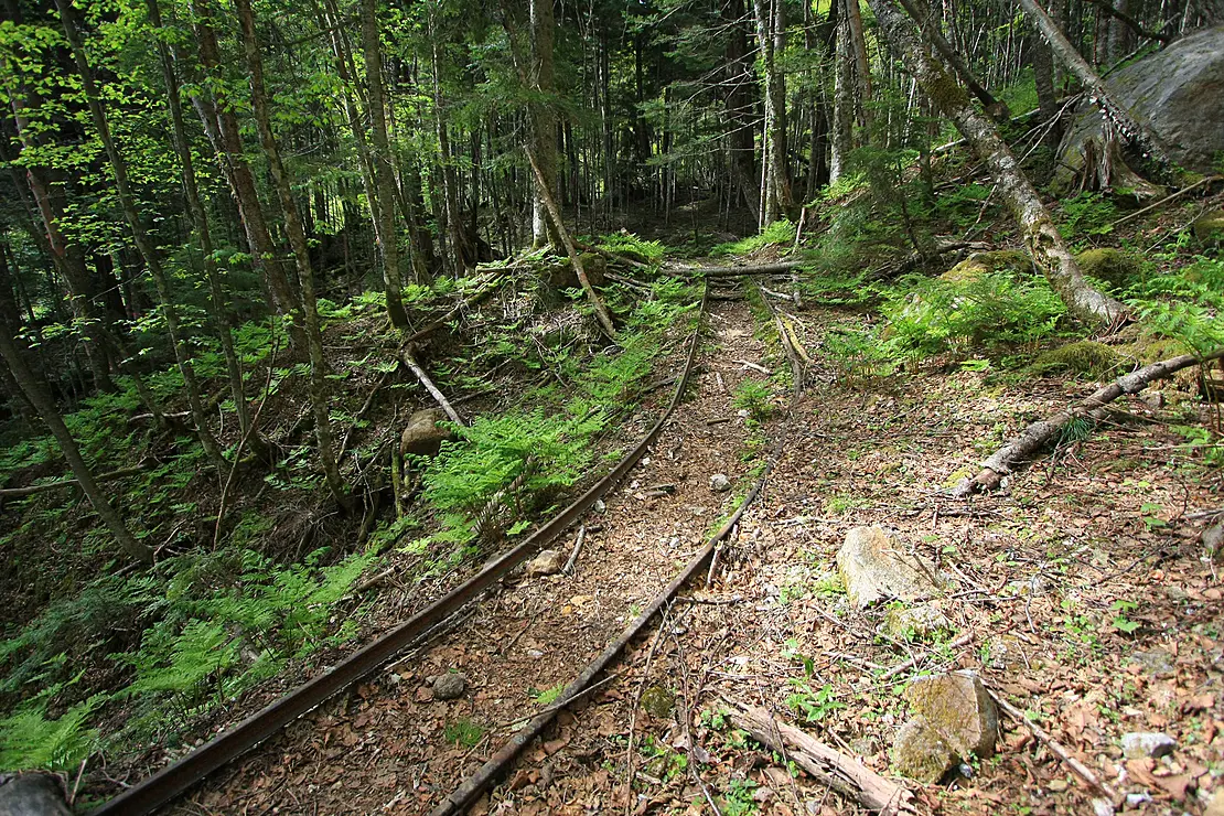 森の中に残るトロッコのレール跡