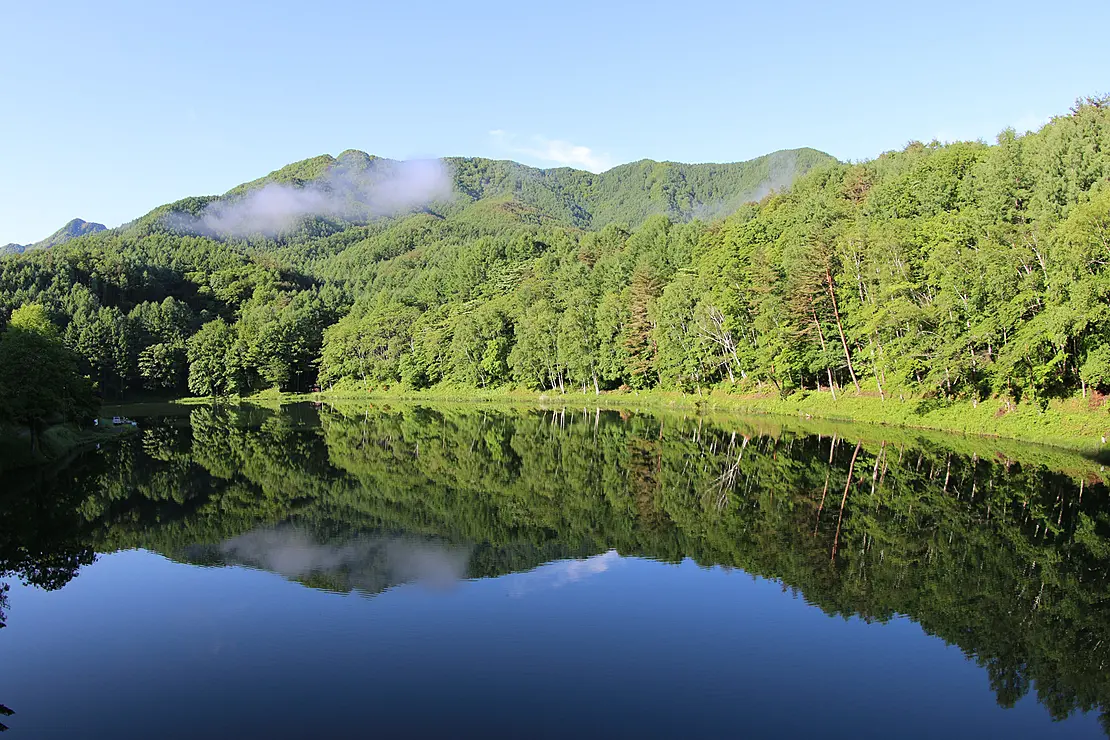 森に囲まれた湖