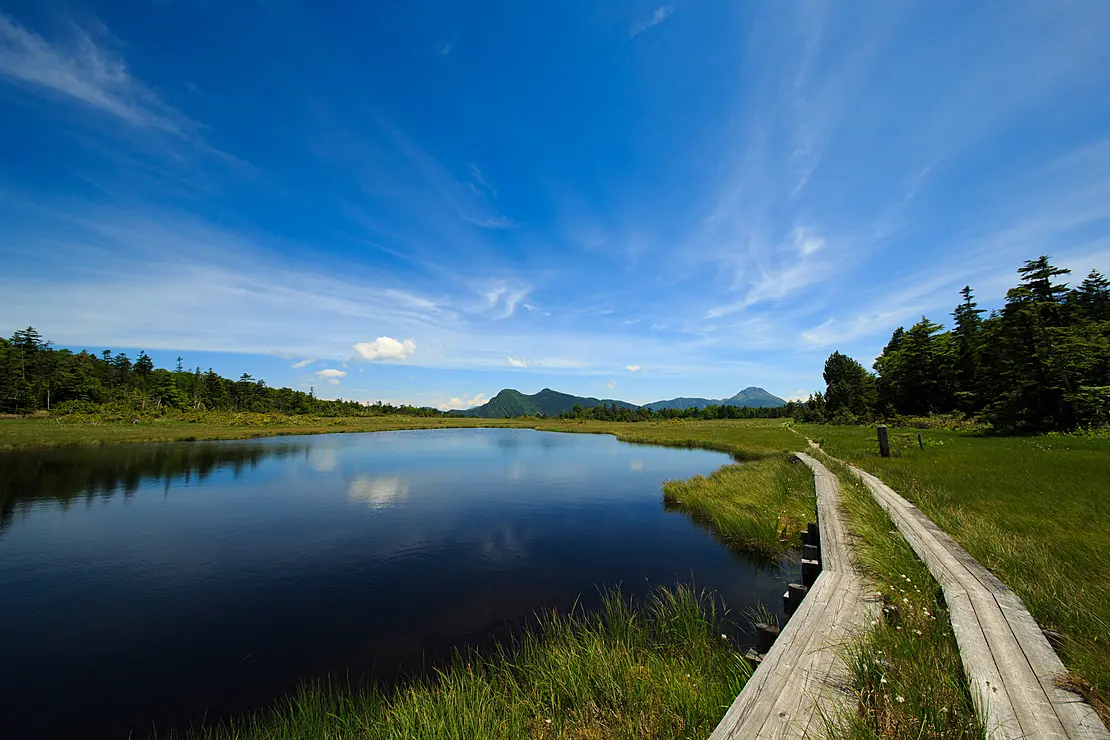 湿原に伸びる木道