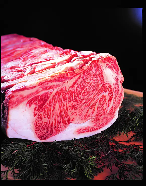 サシの入った牛肉の塊